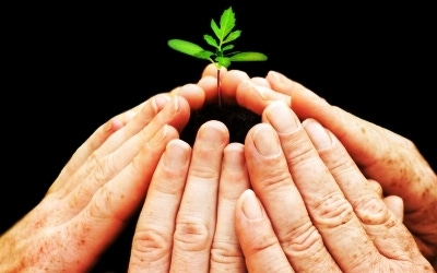 Cultivate Potential to Grow Your Self-Storage Business