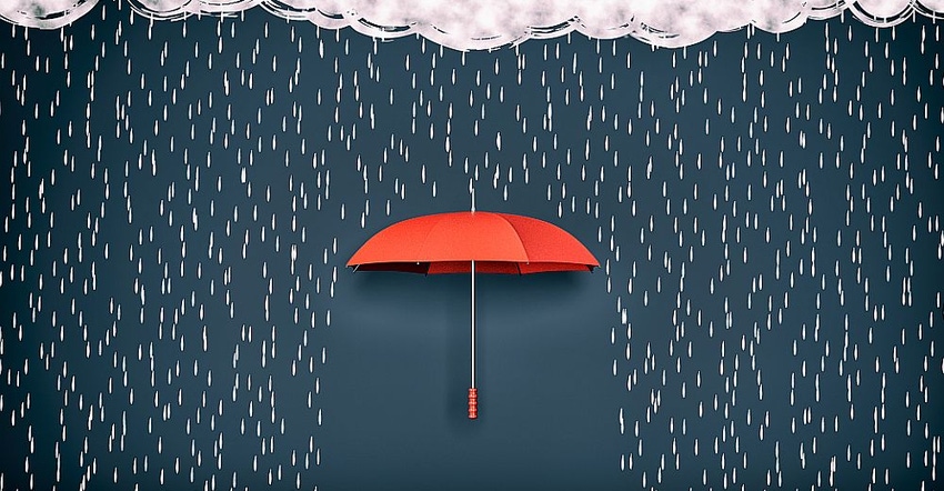 Umbrella-Protect-Rain-Weather.jpg