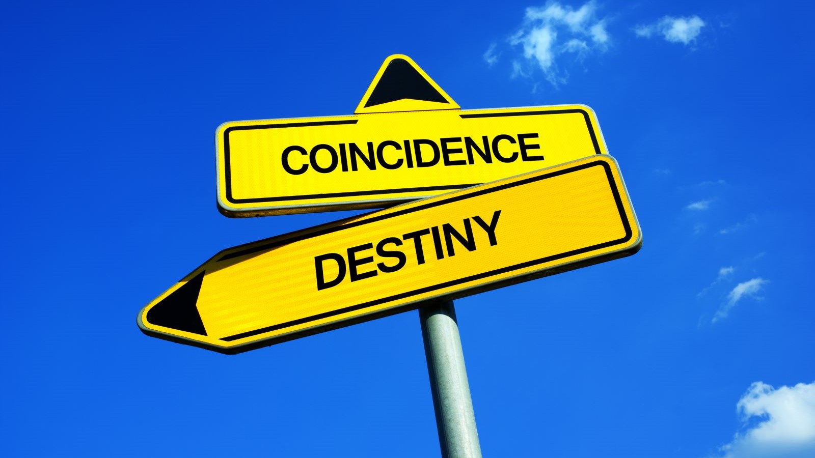 ISS Associate Editor Ron Matejko explains how the Baader-Meinhof phenomenon applies to self-storage within his everyday life. - Vimarsana News