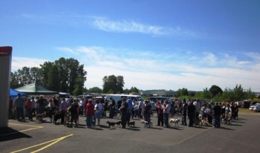 Dogs and their owners stand in line during the amnesty day hosted by Airport Self Storage in Salem, Ore.