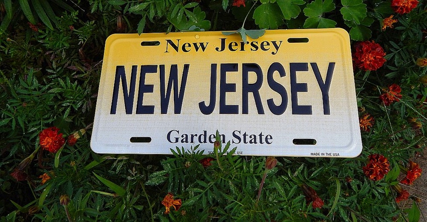 New-Jersey-License-Plate.jpg