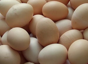 Firm Inaugurates $4.8M Egg Processing Plant in Vietnam