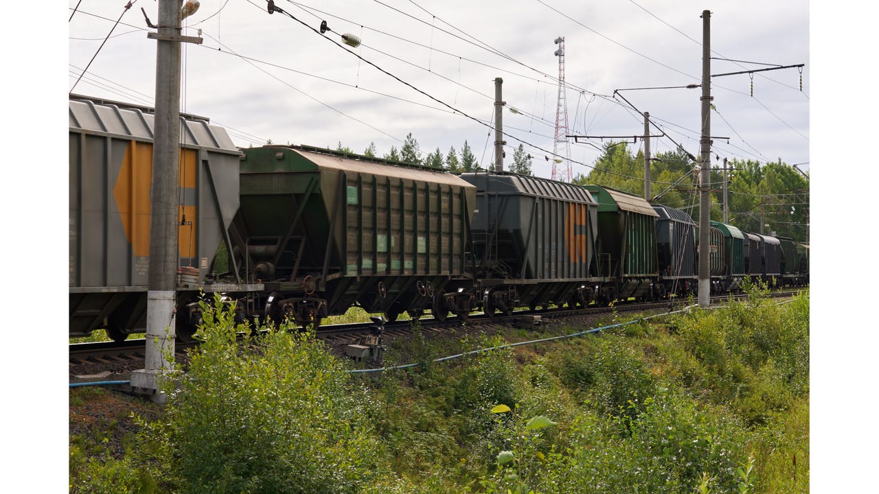 Ohmart/VEGA Corp. Changes Name to VEGA Americas Inc.