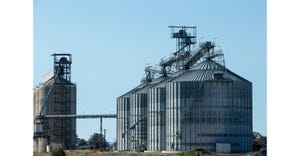 One killed in grain silo collapse at flour mill