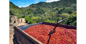 Nespresso invests in specialty coffee revival