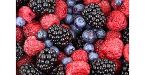 berries_Pixabay.jpg