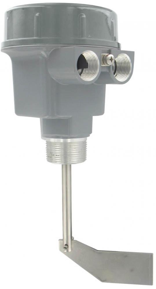 Paddle Level Switch
