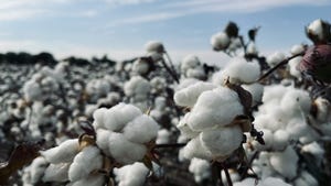 Worker Dies in Cotton Processing Plant Accident