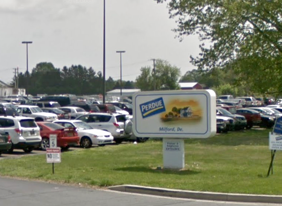 Perdue Halts Work at Plant After COVID19 Cases Emerge