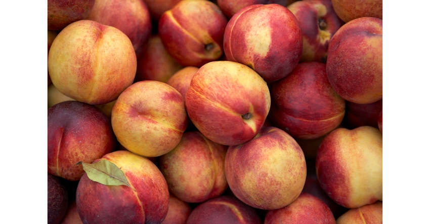 HMC Farms recalls fruit due to Listeria illness