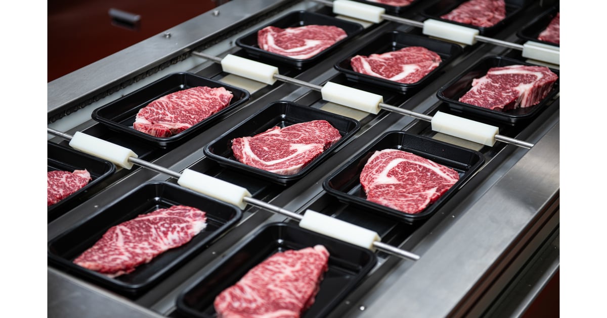 Beef Plant Strike Ends: Workers to Return Amid Renewed Talks