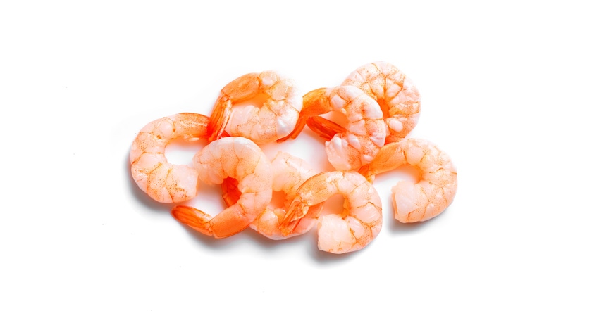 upcycled shrimp