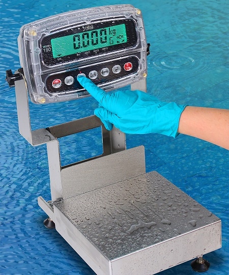 IP69K-Rated Washdown Bench Scales