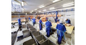 Meat processing plant's sanitation services fined for hiring minors.