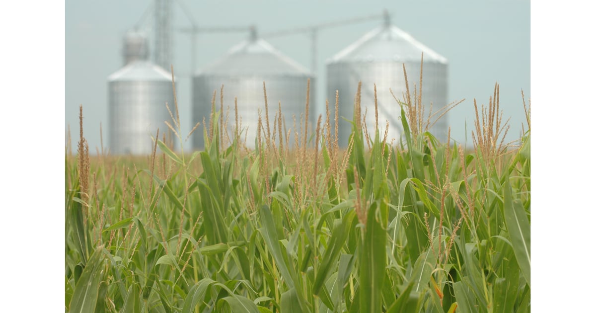 Corn Milling Co. to Pay Nearly $1 Million from 2017 Dust Explosion