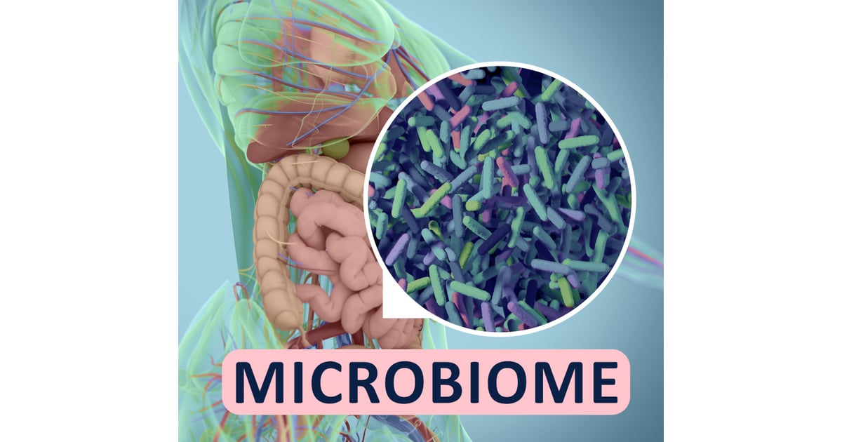 recipients of the 2022-2023 Annual Gut Microbiome