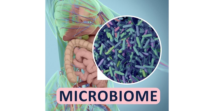 gut microbiome fellowship 