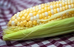 USAID, Nestle Partner to Reduce Maize Mycotoxins in Ghana