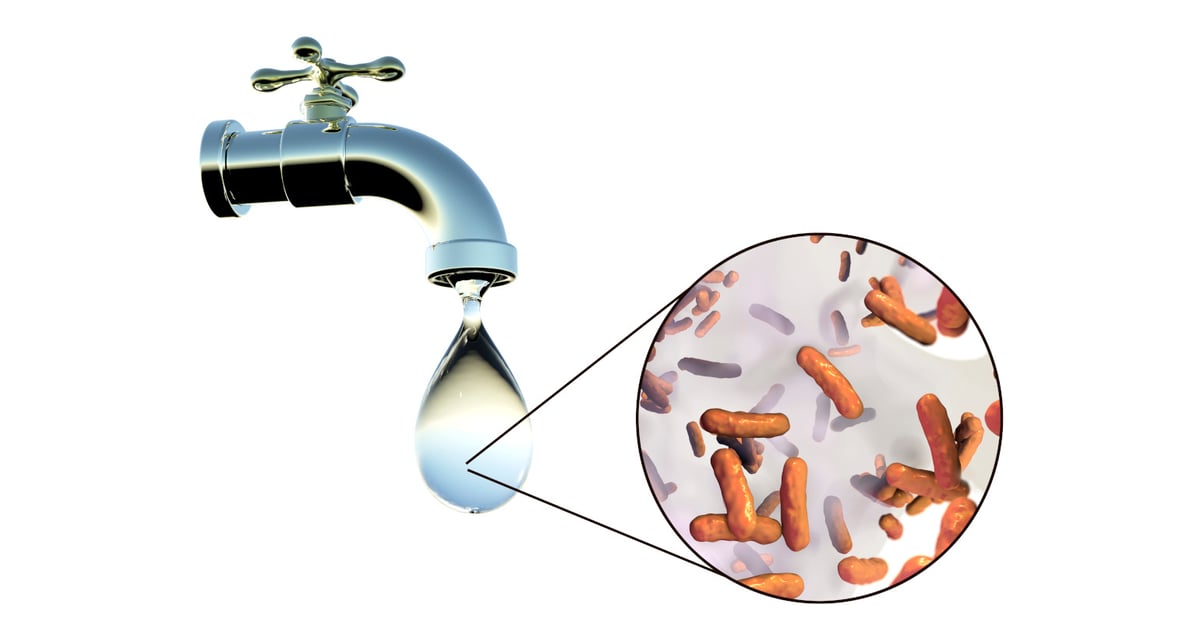 How Using Powder and Sunlight Disinfects