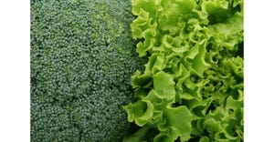 broccoli-PIXABAY.jpg