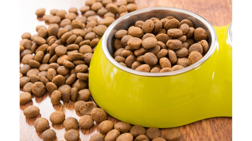 pet owners file case against the pet food giant.