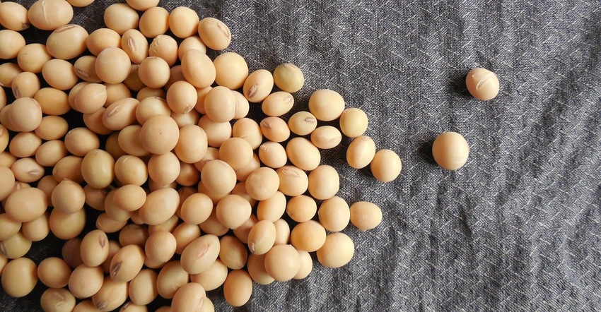 soybeans-182294_1920.jpg