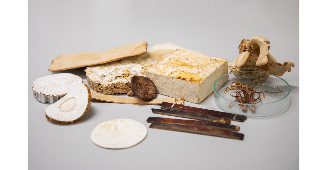 Is Fungi the New Fireproof Building Material?