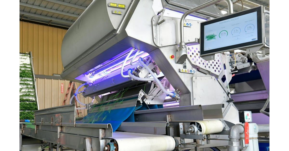 Potato Farm Automates Bulk Product Inspection