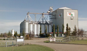 Worker Found Dead in Hopper at Feed Production Facility