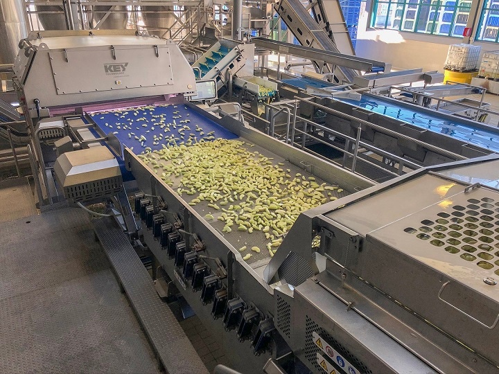 Key Technology Introduces Sorting System for Apple Slices