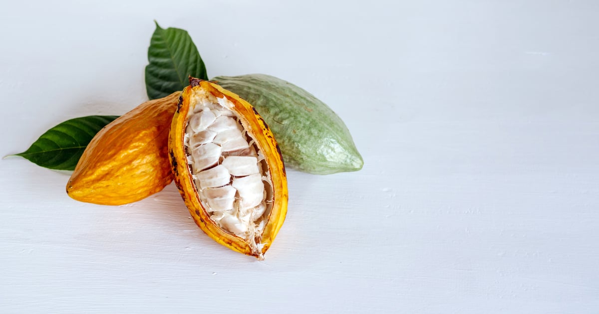 Mars Inc. & Biotech Firm Pairwise to Gene-Edit Cocoa Supply