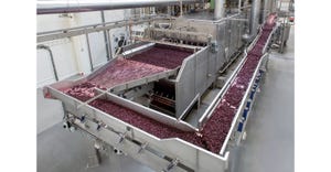 Key Technology Conveying System Helps Dehydrated Fruit Processing Line