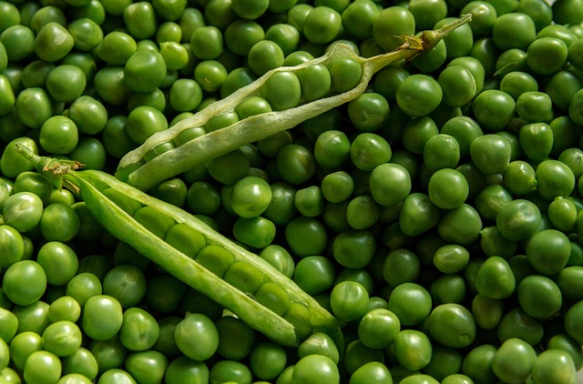 Cargill Commits $75M to Expand Pea Protein Production
