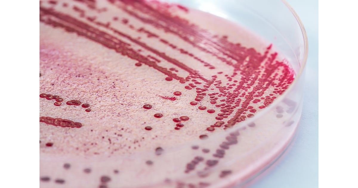 Pathogen Eradicated by Blue Light