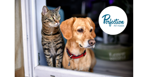 Post acquires pet food company