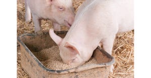 ADM Animal Nutrition Recall Expands