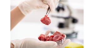 Cult Food Science cultured meat dog food