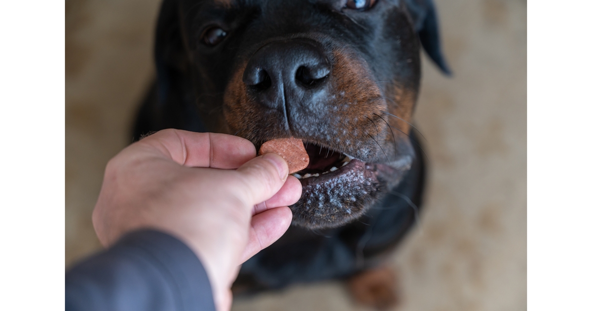 General Mills Acquires Pet Health Brand