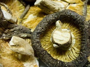 Kellogg, Bunge Invest in Mushroom-Based Food Ingredients Firm