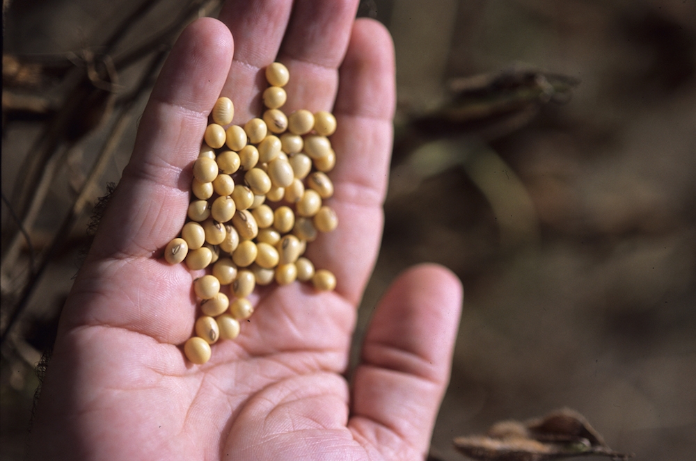 Cargill Gains NonGMO Project Verification for Ingredients