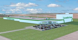 Cavendish Farms Breaks Ground on $293M Processing Plant