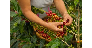 Nestle ranks #1 in coffee sustainability