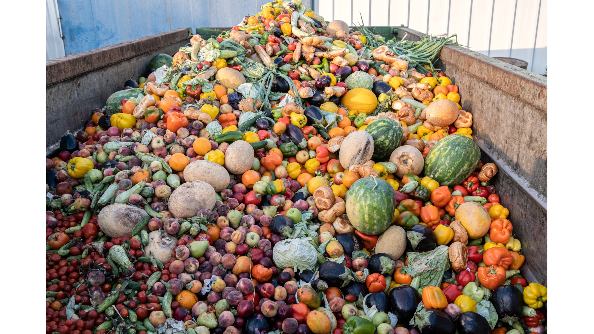 FDA, USDA, EPA Boost Efforts To Reduce Food Loss & Waste