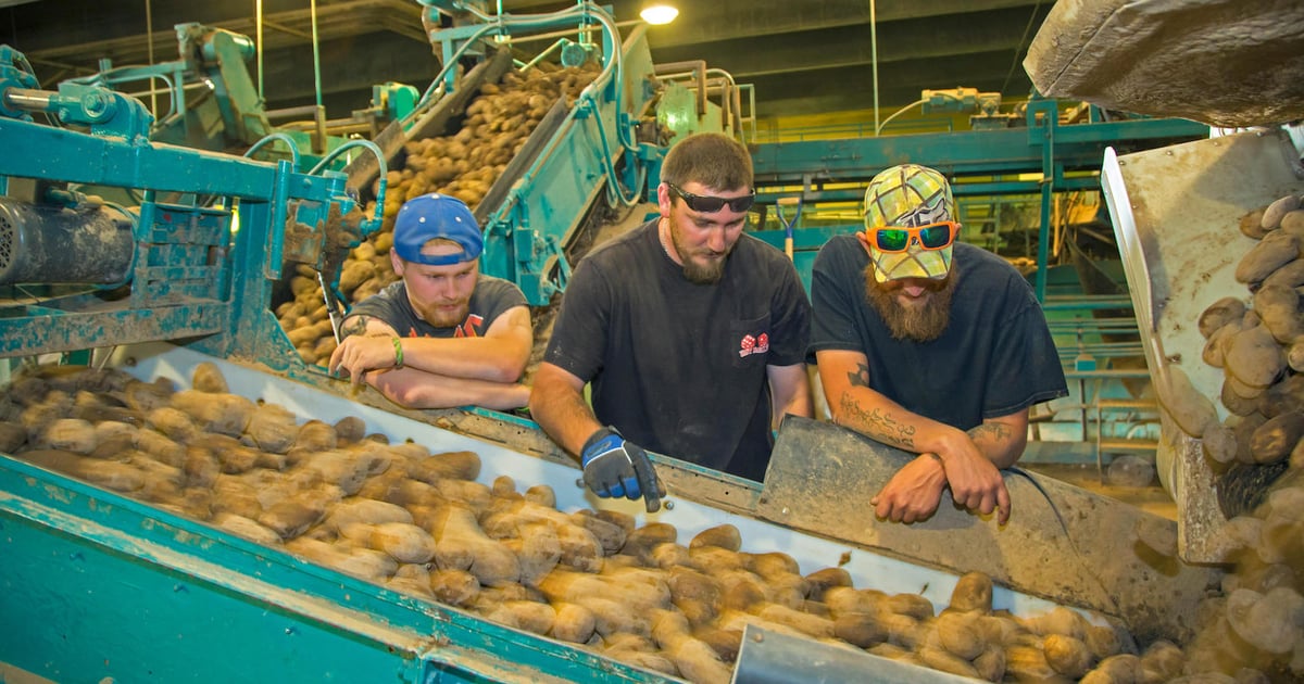 Significant Manufacturing Labor Issues Persist at Mid-Year