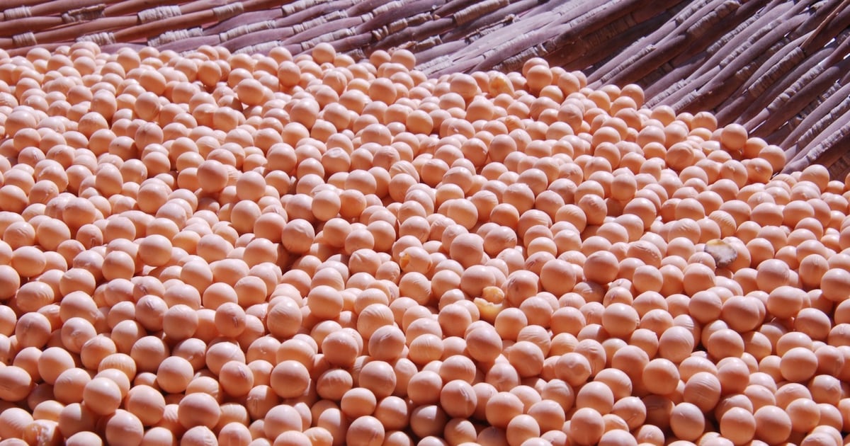 Cooperative Ag Processing Names New VP of Operations