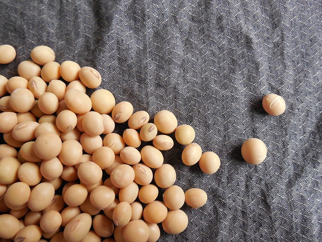 CHS to Upgrade Soybean Processing Plant
