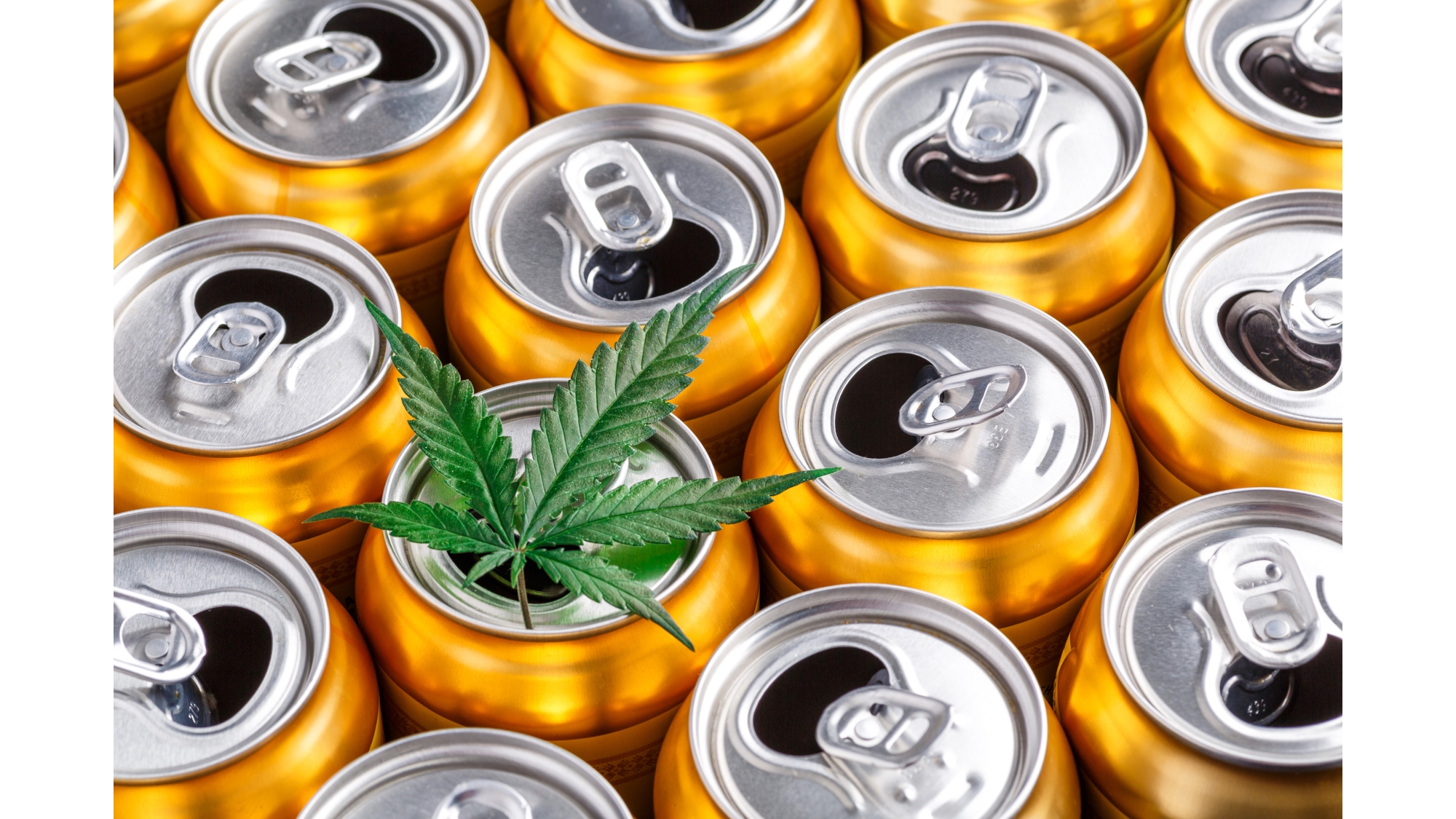 cannabis-infused beverage