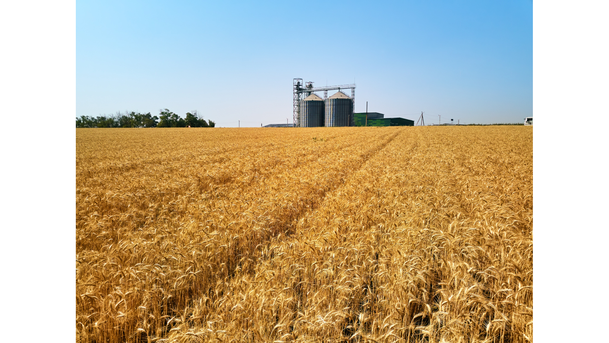 Crespel & Deiters Invests $20.5 M in New Silo Building