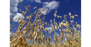 Toxic chemical found in oat cereals