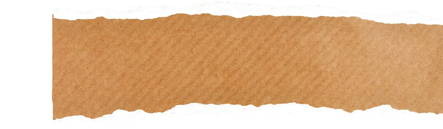 tree-lp-tear-paper-bg.webp